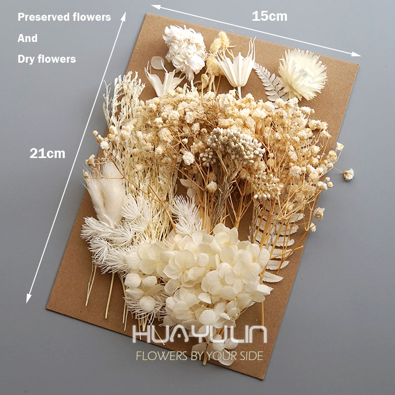 1 Pack Artificial Plants Dried - Candle Making Uk review and price